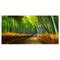 Designart - Arashiyama Bamboo Grove Japan - Oversized Forest Canvas Artwork